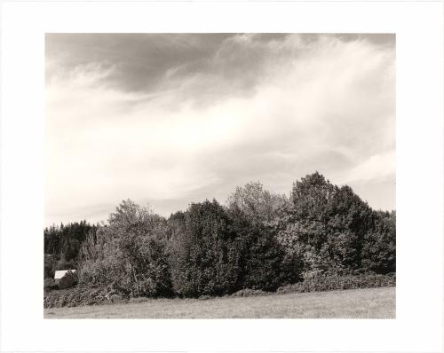 13. Tree lines at the edge of crop land, the Coquille River valley, Coos County, Oregon. From Turning Back, A Photographic Journal of Re-exploration