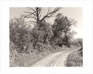 14. Tree lines at the edge of crop land, the Coquille River valley, Coos County, Oregon. From Turning Back, A Photographic Journal of Re-exploration