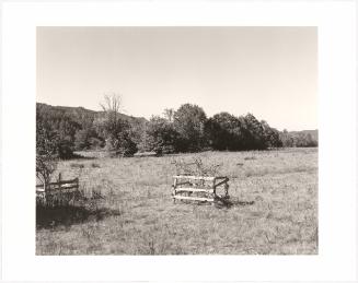 15. Young apple trees, the Coquille River valley, Coos County, Oregon. From Turning Back, A Photographic Journal of Re-exploration