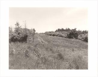 16. The interior of Cape Disappointment, Pacific County, Washington. Houses and a golf course are to be constructed here. From Turning Back, A Photographic Journal of Re-exploration