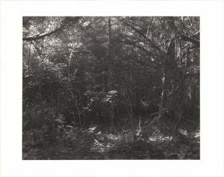 24. Cape Blanco State Park, Curry County, Oregon. From Turning Back, A Photographic Journal of Re-exploration