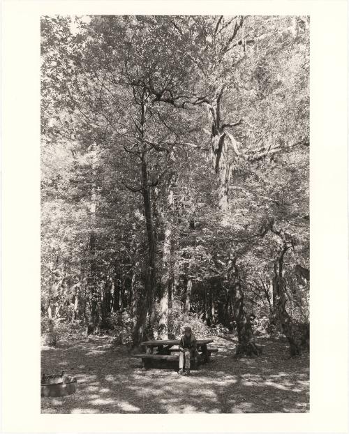 33. Kerstin reading by the Elk River, in undisturbed woods mostly of Douglas fir, in the Siskiyou National Forest, Curry County, Oregon. From Turning Back, A Photographic Journal of Re-exploration