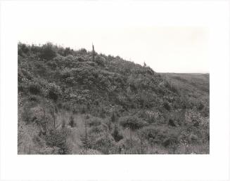 36. Above the Elk River, Curry County, Oregon. From Turning Back, A Photographic Journal of Re-exploration