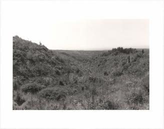 37. Above the Elk River, Curry County, Oregon. From Turning Back, A Photographic Journal of Re-exploration