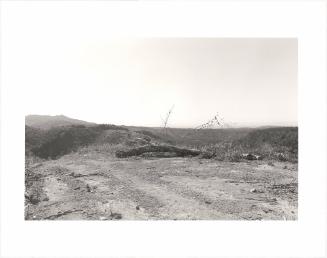 38. Above the Elk River, Curry County, Oregon. From Turning Back, A Photographic Journal of Re-exploration