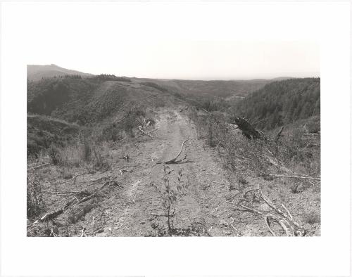 39. Above the Elk River, Curry County, Oregon. From Turning Back, A Photographic Journal of Re-exploration