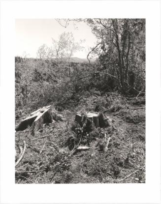 40. Columbia County, Oregon. From Turning Back, A Photographic Journal of Re-exploration