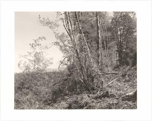 42. Columbia County, Oregon. From Turning Back, A Photographic Journal of Re-exploration