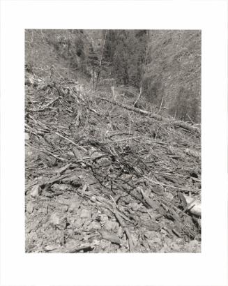 47. A clearcut, Columbia County, Oregon. Cable is frequently broken or snarled and abandoned in the process of dragging trees to a loading point. From Turning Back, A Photographic Journal of Re-exploration