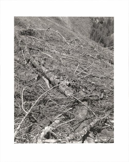 48. A clearcut, Columbia County, Oregon. Cable is frequently broken or snarled and abandoned in the process of dragging trees to a loading point. From Turning Back, A Photographic Journal of Re-exploration