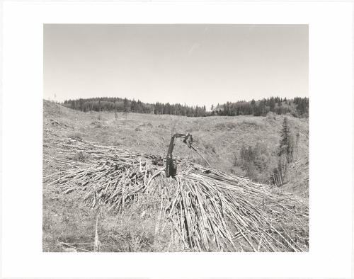 54. Stacking the de-limbed trunks of an immature “harvest,” Columbia County, Oregon. From Turning Back, A Photographic Journal of Re-exploration