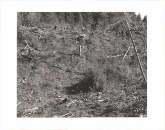 55. Coos County, Oregon. From Turning Back, A Photographic Journal of Re-exploration