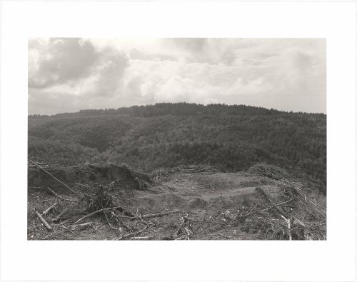 68. Coos County, Oregon. From Turning Back, A Photographic Journal of Re-exploration