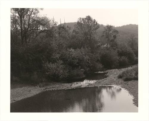 71. Floras Creek, Curry County, Oregon. Research in South America has shown that the slow release of moisture held by some coastal forests is important to the formation of clouds that then take rain inland. Coastal deforestation is thus believed to contribute to climate change and desertification. From Turning Back, A Photographic Journal of Re-exploration