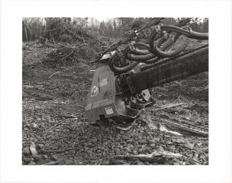 79. A machine for stripping the limbs from immature trees. From Turning Back, A Photographic Journal of Re-exploration