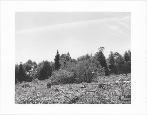 88. Pacific County, Washington. From Turning Back, A Photographic Journal of Re-exploration