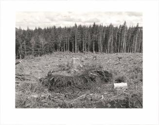 89. Clatsop County, Oregon.  . . . the trees have risen one more time  and the night wind makes them sound  like the sear that is yet unknown  the black clouds race over the moon  the rain is falling on the last place.  W. S. Merwin From Turning Back, A Photographic Journal of Re-exploration