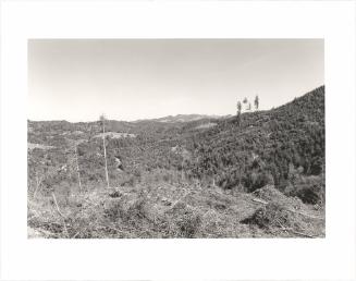 94. Along Floras Creek, Curry County, Oregon. From Turning Back, A Photographic Journal of Re-exploration