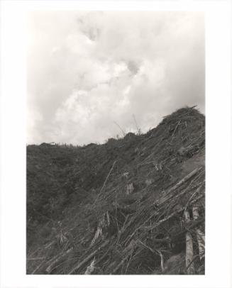 96. Coos County, Oregon. “Already the trees are a myth, half gods, half giants in whom nobody believes.” 
Nancy Willard
From Turning Back, A Photographic Journal of Re-exploration