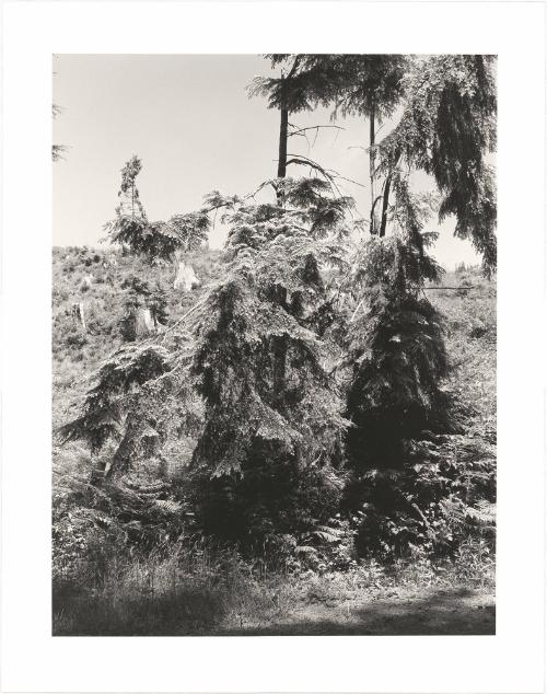 100. Pacific County, Washington. From Turning Back, A Photographic Journal of Re-exploration