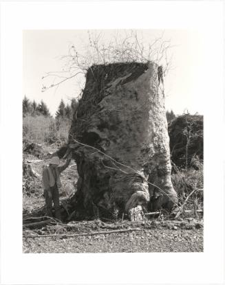 101. Kerstin, next to an old-growth stump, Coos County, Oregon. It will be easier to think well of ourselves when evidence of the original forest is completely gone. From Turning Back, A Photographic Journal of Re-exploration