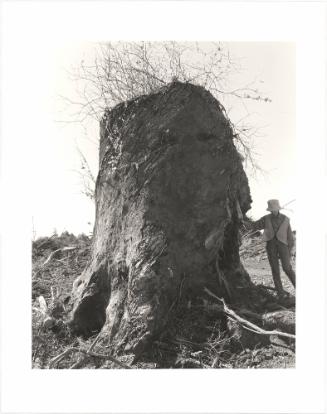 102. Kerstin, next to an old-growth stump, Coos County, Oregon. It will be easier to think well of ourselves when evidence of the original forest is completely gone. From Turning Back, A Photographic Journal of Re-exploration