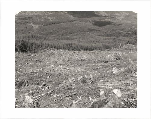 104. Saddle Mountain (3,257 feet) as seen from the side of Humbug Mountain (2,452 feet), Clatsop County, Oregon. Saddle Mountain is the highest point in the Coastal Range in northwestern Oregon. The sorrow one feels here today is not new. Sam Churchill (1911–1991), a well-known newspaperman who was raised in a logging camp near Saddle Mountain, remembered experiencing it as a young child walking with his mother: “I knew that already donkey engines of the Saddle Mountain Logging Company were gnawing at the vast belt of timber almost at the mountain’s foot. A great panic and sadness suddenly welled up within me. I clutched at on of Mother’s blackberry-picking hands. ‘I don’t want all the trees to be gone,’ I sobbed in boyish agony. There, in the sullen loneliness of a logged-off ridge top, and surrounded by blackberry vines and with Saddle