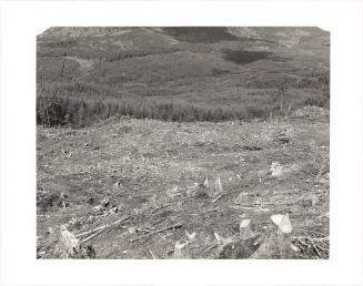 104. Saddle Mountain (3,257 feet) as seen from the side of Humbug Mountain (2,452 feet), Clatsop County, Oregon. Saddle Mountain is the highest point in the Coastal Range in northwestern Oregon. The sorrow one feels here today is not new. Sam Churchill (1911–1991), a well-known newspaperman who was raised in a logging camp near Saddle Mountain, remembered experiencing it as a young child walking with his mother: “I knew that already donkey engines of the Saddle Mountain Logging Company were gnawing at the vast belt of timber almost at the mountain’s foot. A great panic and sadness suddenly welled up within me. I clutched at on of Mother’s blackberry-picking hands. ‘I don’t want all the trees to be gone,’ I sobbed in boyish agony. There, in the sullen loneliness of a logged-off ridge top, and surrounded by blackberry vines and with Saddle