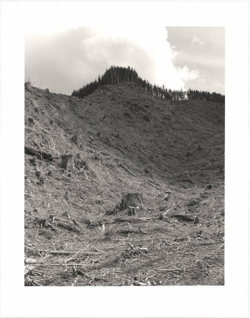 117. On Humbug Mountain, Clatsop County, Oregon.  after an age of leaves and feathers  someone dead  thought of this mountain as money  and cut the trees  that were here in the wind  in the rain at night  it is hard to say it  W. S. Merwin From Turning Back, A Photographic Journal of Re-exploration