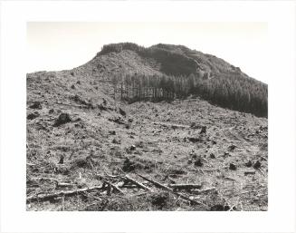 119. On Humbug Mountain, Clatsop County, Oregon.  after an age of leaves and feathers  someone dead  thought of this mountain as money  and cut the trees  that were here in the wind  in the rain at night  it is hard to say it  W. S. Merwin From Turning Back, A Photographic Journal of Re-exploration