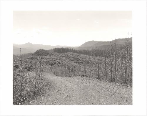 121. On Humbug Mountain, Clatsop County, Oregon.  after an age of leaves and feathers  someone dead  thought of this mountain as money  and cut the trees  that were here in the wind  in the rain at night  it is hard to say it  W. S. Merwin From Turning Back, A Photographic Journal of Re-exploration