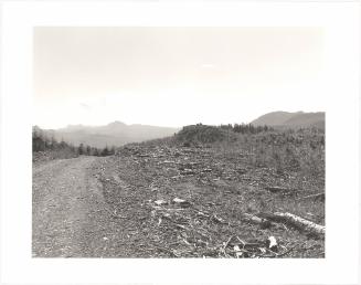 122. On Humbug Mountain, Clatsop County, Oregon.  after an age of leaves and feathers  someone dead  thought of this mountain as money  and cut the trees  that were here in the wind  in the rain at night  it is hard to say it  W. S. Merwin From Turning Back, A Photographic Journal of Re-exploration