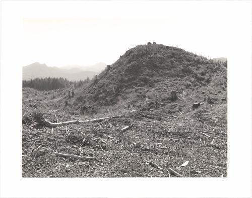 123. On Humbug Mountain, Clatsop County, Oregon.  after an age of leaves and feathers  someone dead  thought of this mountain as money  and cut the trees  that were here in the wind  in the rain at night  it is hard to say it  W. S. Merwin From Turning Back, A Photographic Journal of Re-exploration