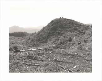 123. On Humbug Mountain, Clatsop County, Oregon.  after an age of leaves and feathers  someone dead  thought of this mountain as money  and cut the trees  that were here in the wind  in the rain at night  it is hard to say it  W. S. Merwin From Turning Back, A Photographic Journal of Re-exploration