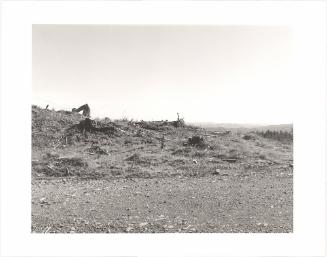 125. On Humbug Mountain, Clatsop County, Oregon.  after an age of leaves and feathers  someone dead  thought of this mountain as money  and cut the trees  that were here in the wind  in the rain at night  it is hard to say it  W. S. Merwin From Turning Back, A Photographic Journal of Re-exploration