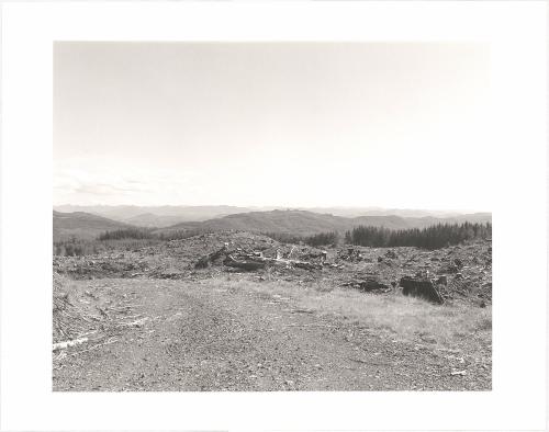 126. On Humbug Mountain, Clatsop County, Oregon.  after an age of leaves and feathers  someone dead  thought of this mountain as money  and cut the trees  that were here in the wind  in the rain at night  it is hard to say it  W. S. Merwin From Turning Back, A Photographic Journal of Re-exploration