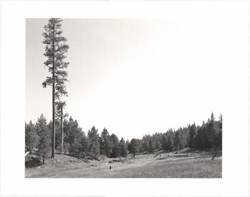 128. Malheur National Forest, South of John Day, Grant County, Oregon. From Turning Back, A Photographic Journal of Re-exploration