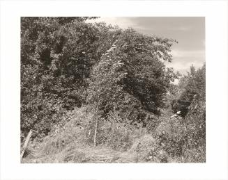 147. Near Halfway, Baker County, Oregon. From Turning Back, A Photographic Journal of Re-exploration