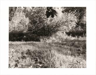 148. Near Halfway, Baker County, Oregon. From Turning Back, A Photographic Journal of Re-exploration