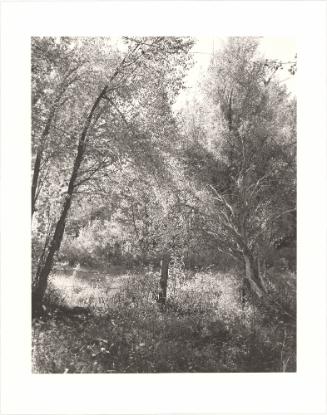 151. Near Halfway, Baker County, Oregon. From Turning Back, A Photographic Journal of Re-exploration