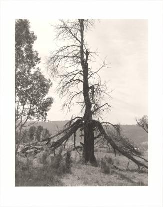 152. Near Halfway, Baker County, Oregon. From Turning Back, A Photographic Journal of Re-exploration