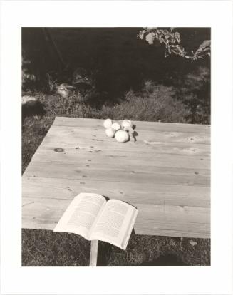 161. Near Halfway, Baker County, Oregon. From Turning Back, A Photographic Journal of Re-exploration