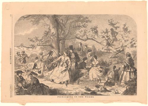 Picnicking in the Woods., from Harper’s Weekly