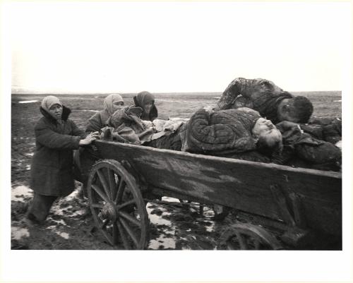 Carting the Dead, Kerch, Crimea