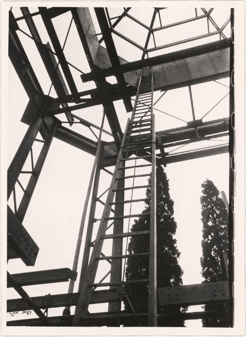 Ilse Bing