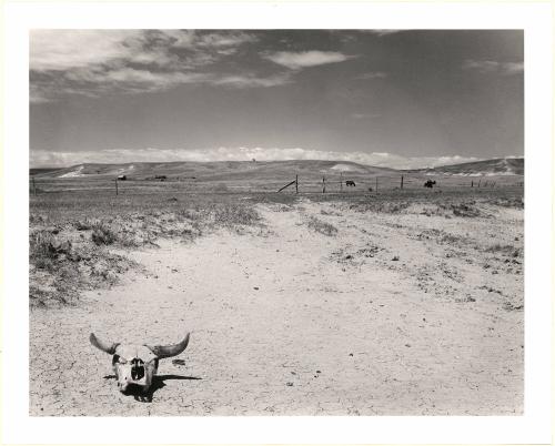 Homestead on submarginal land, Pennington County, South Dakota