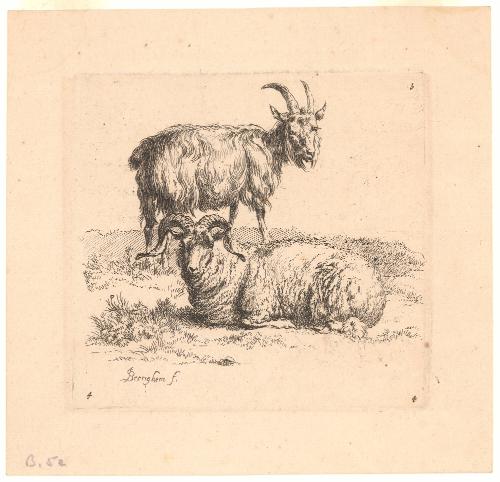 Ram and Goat from Animalia